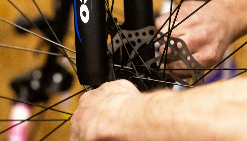 Cycle King bike wheel check