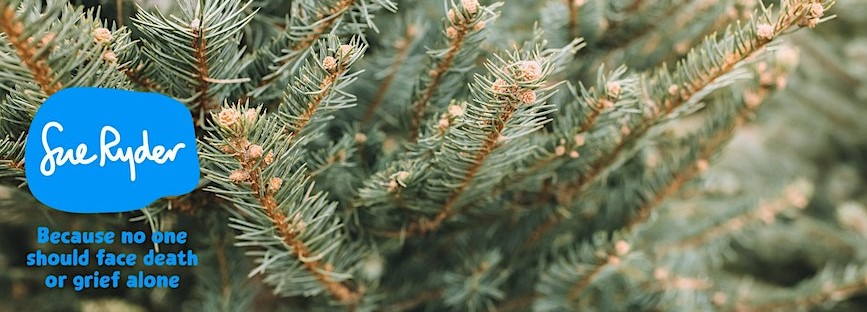 Sue Ryder tree collection image with blue and white logo