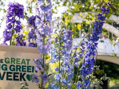 The Great Big Green Week