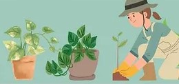 Recycled Gardening with The Good Life Garden