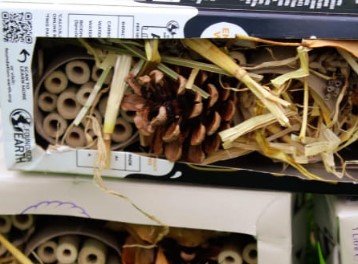 Bug Hotels and Insect Wings with Nature’s Playground